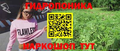 шишки Тула